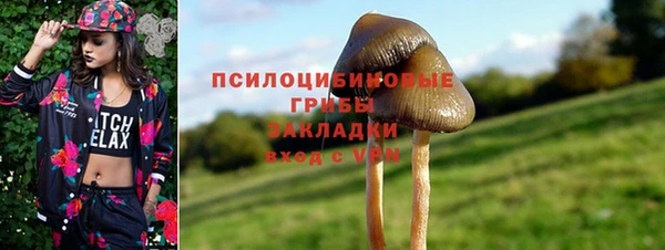 шишки Баксан