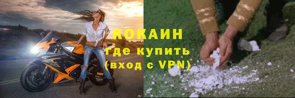 шишки Баксан