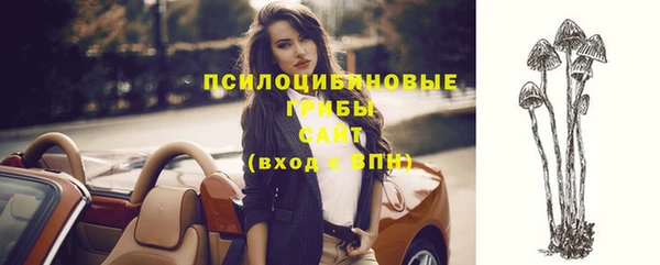 шишки Баксан