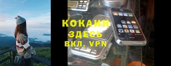 шишки Баксан